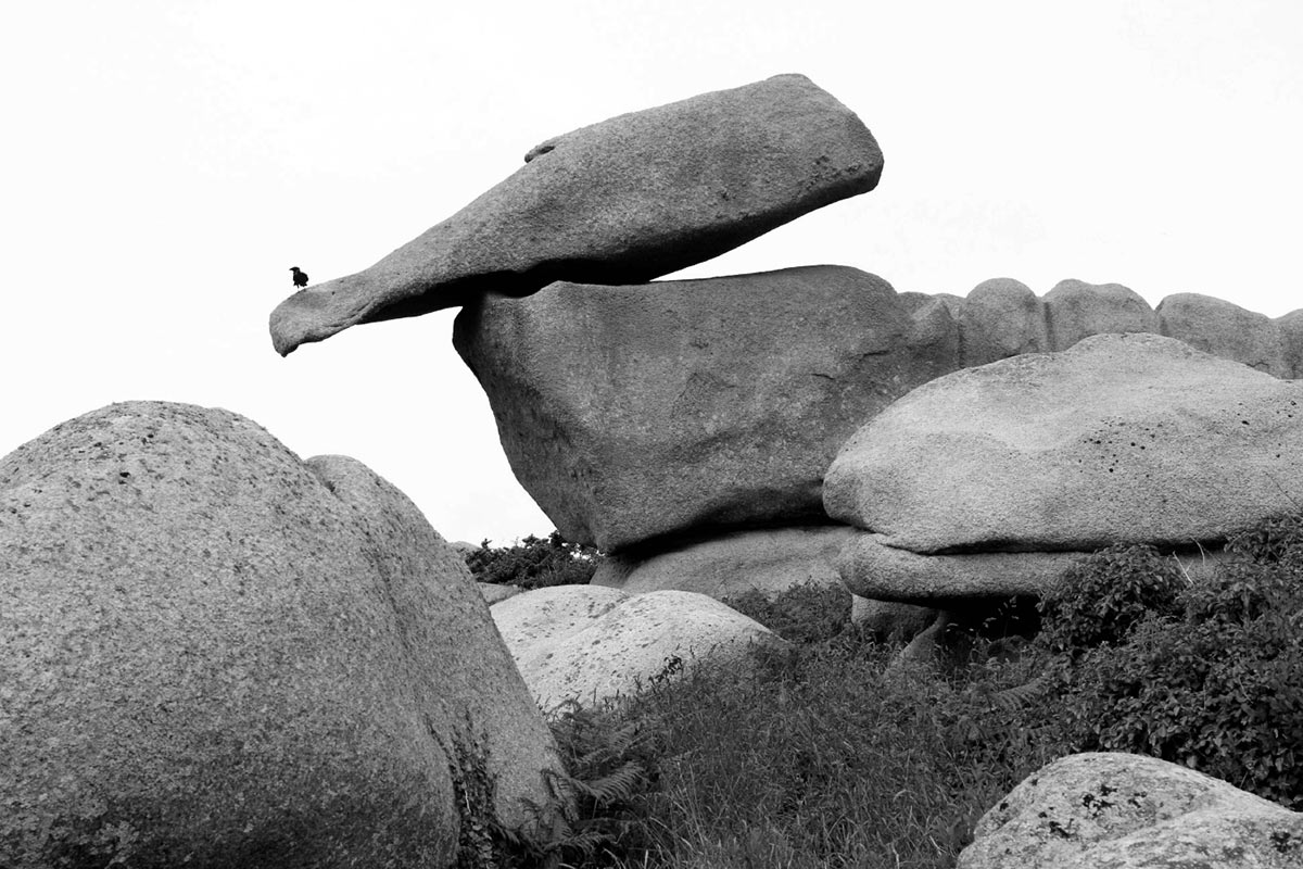 2015-12-05-balance-pms-6.5-3 Balance (Foto: Peter Maximilian Schmidt)