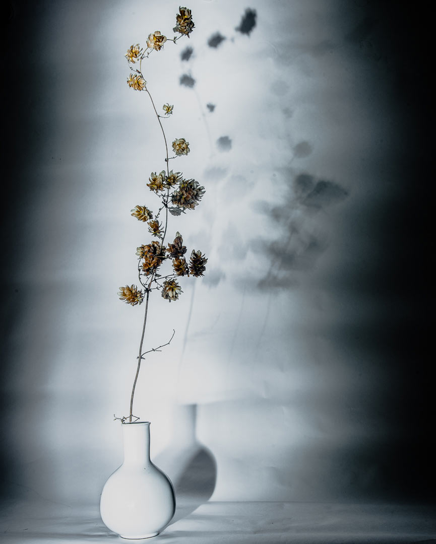 2015-12-15-herbst_und_vase-upf-5.33 Herbst & Vase (Foto: Uli Pfeufer)