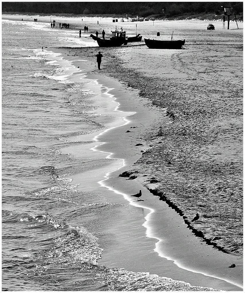 Fotoclub: Bild des Monats 10.2023