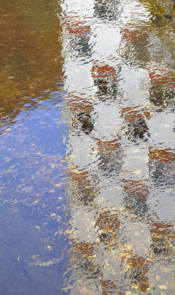 Fotoclub: Bild des Quartals 3.2025