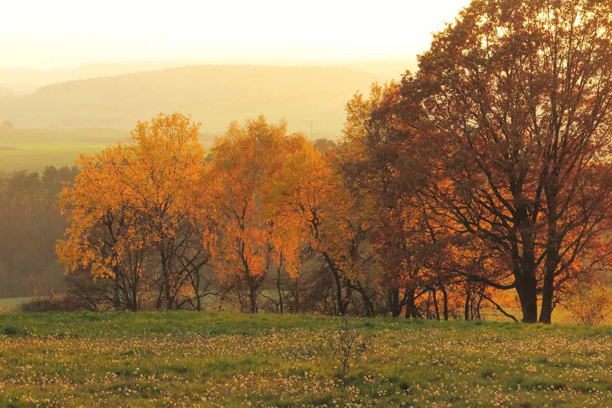 2015-12-zz06_s_0001-pms-5.5 Serie: Herbst (Foto: Peter Maximilian Schmidt)