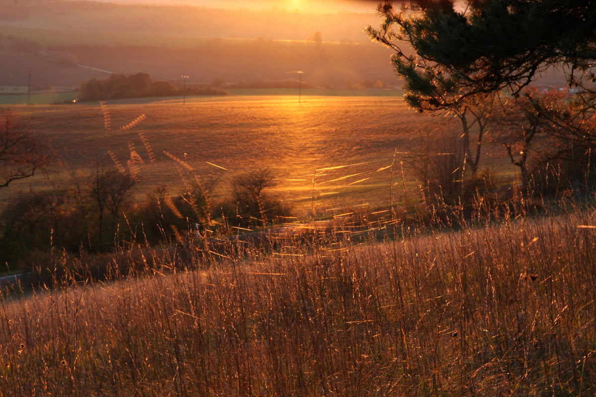 2015-12-zz06_s_0002-pms-5.5 Serie: Herbst (Foto: Peter Maximilian Schmidt)