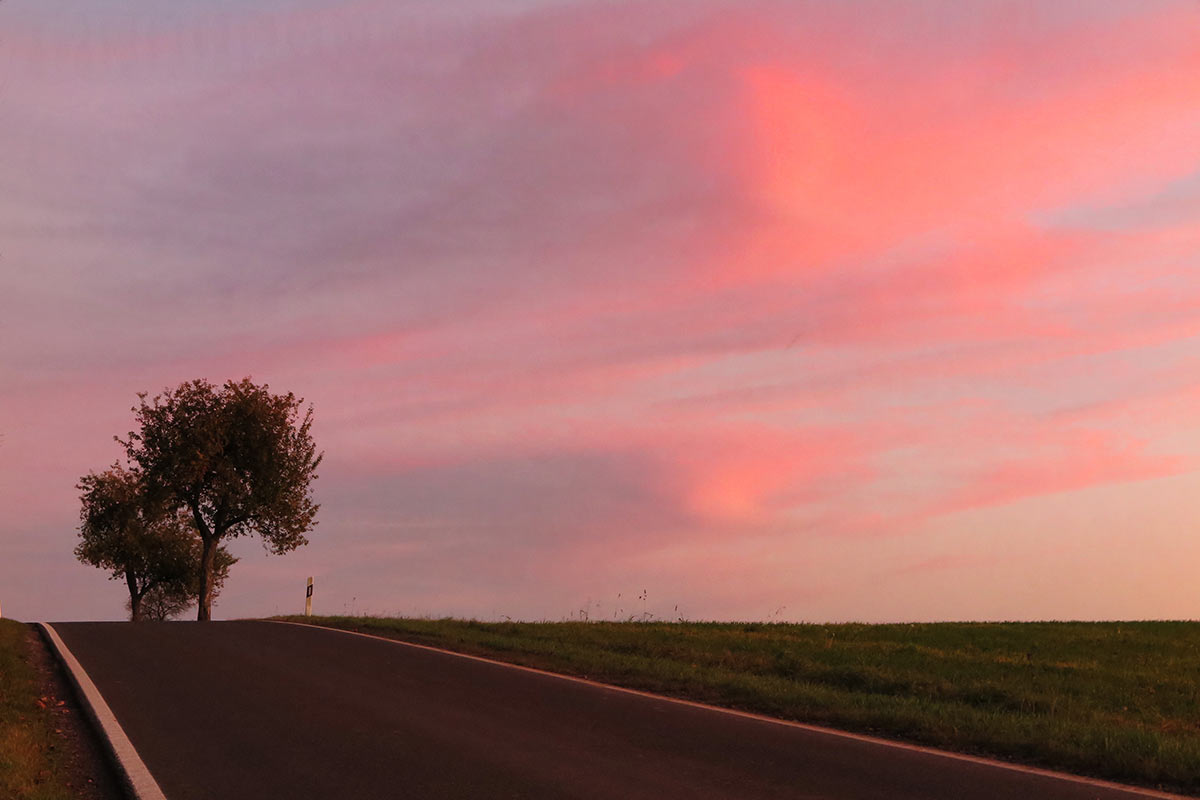 2015-12-zz06_s_0003-pms-5.5 Serie: Herbst (Foto: Peter Maximilian Schmidt)