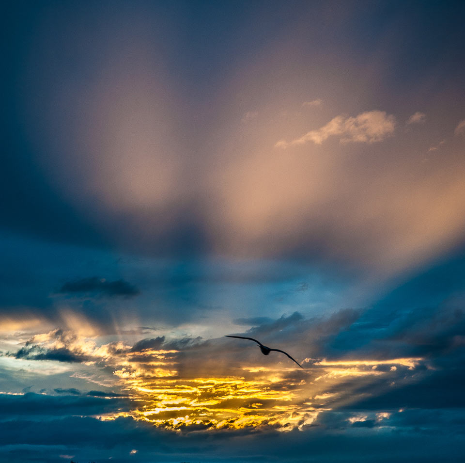 Abendstimmung (Foto: Uli Pfeufer)