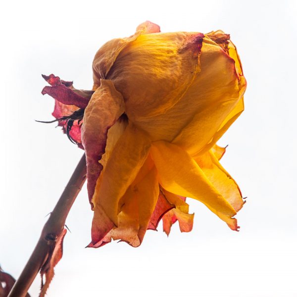 Bestes Alter (Foto: Uli Pfeufer)