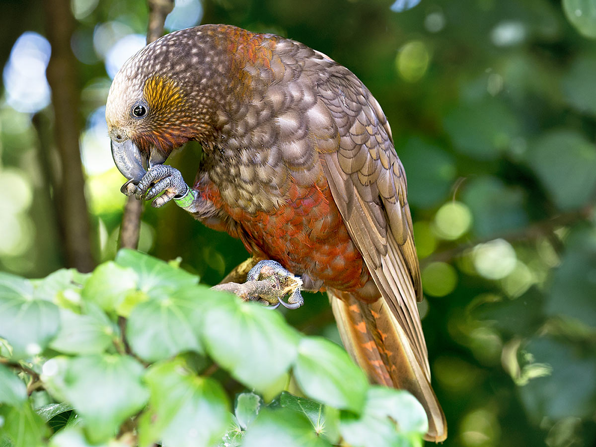 Break (Foto: Frank Hausdörfer)