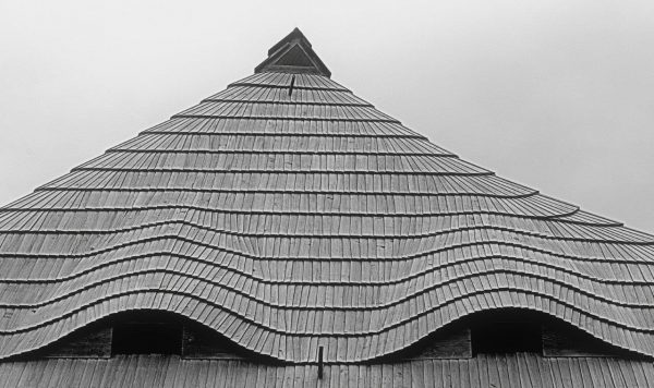 Dachaugen (Foto: Karl-Heinz Richter)