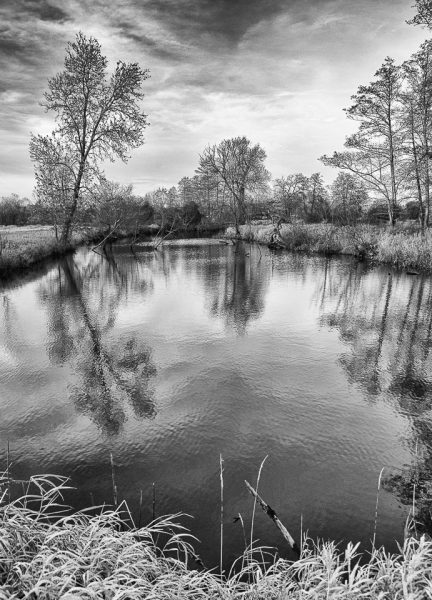 Die Mulde bei Dessau (Foto: Uli Pfeufer)