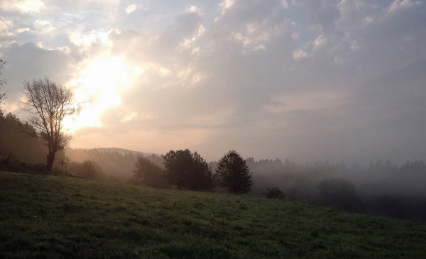 Gänserasen (Foto: Sylvi Raakow)