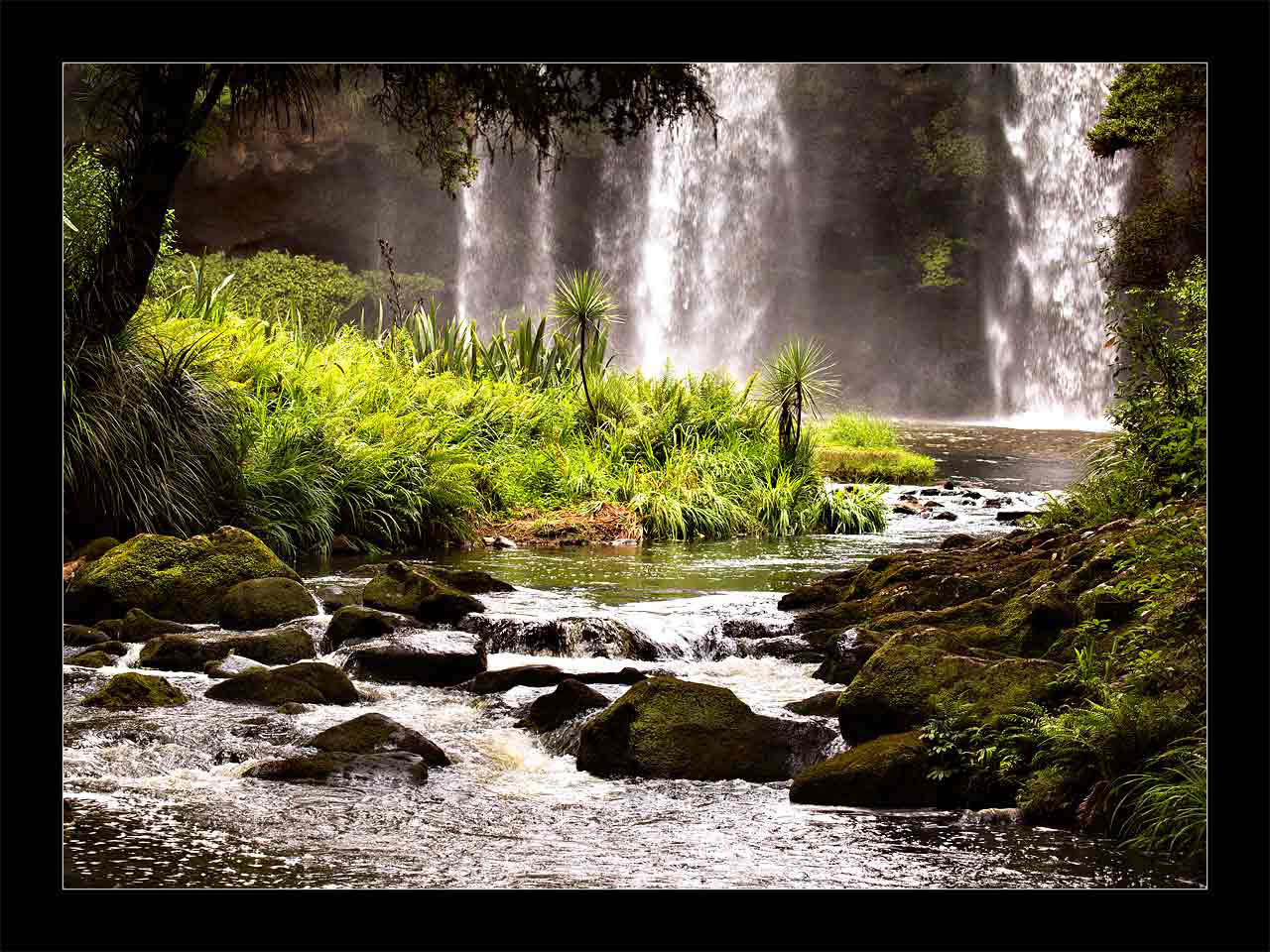Green Haven (Foto: Frank Hausdörfer)
