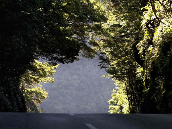 Illumination (Foto: Frank Hausdörfer)