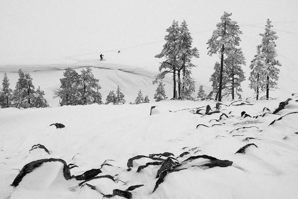 Im Schnee (Foto: Manuela Hahnebach)