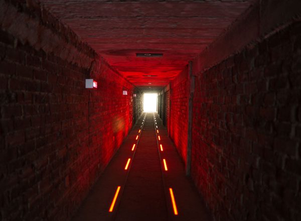 Into The Light (Foto: Sylvi Raakow)