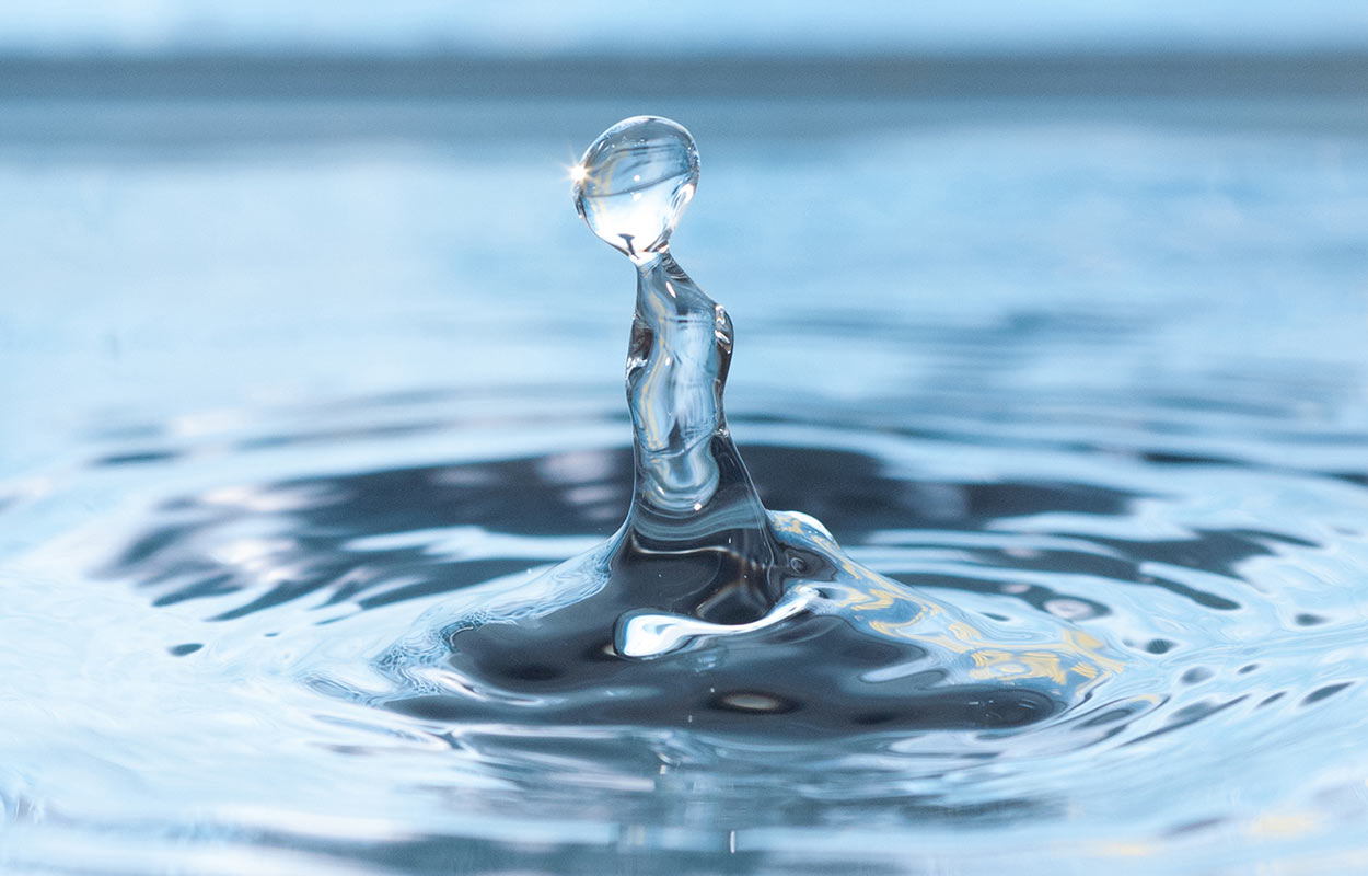 Lebenselixier (Foto: Sylvi Raakow)