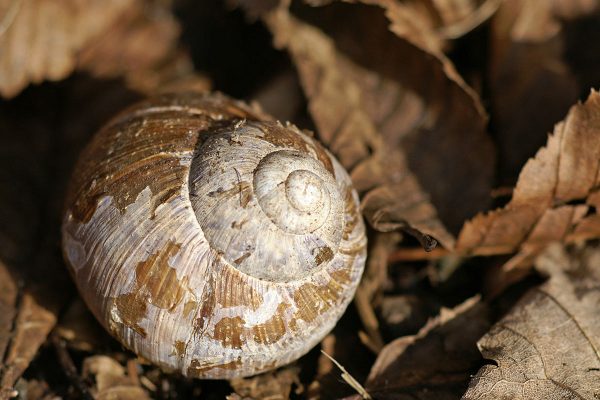 Leerstand (Foto: Sylvi Raakow)