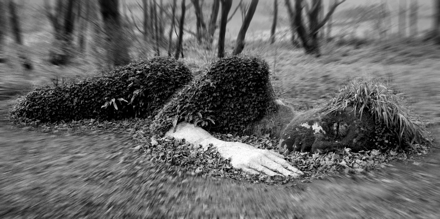 Lost Gardens (Foto: Peter Maximilian Schmidt)