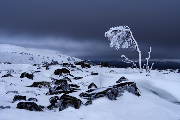 Nacht auf dem kahlen Berg (Foto: Manuela Hahnebach)