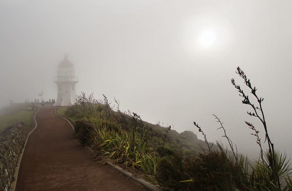 Nebelwand (Foto: Frank Hausdörfer)