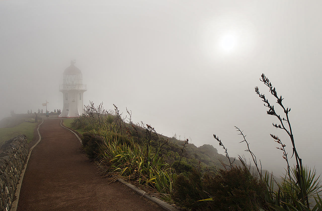 Nebelwand (Foto: Frank Hausdörfer)