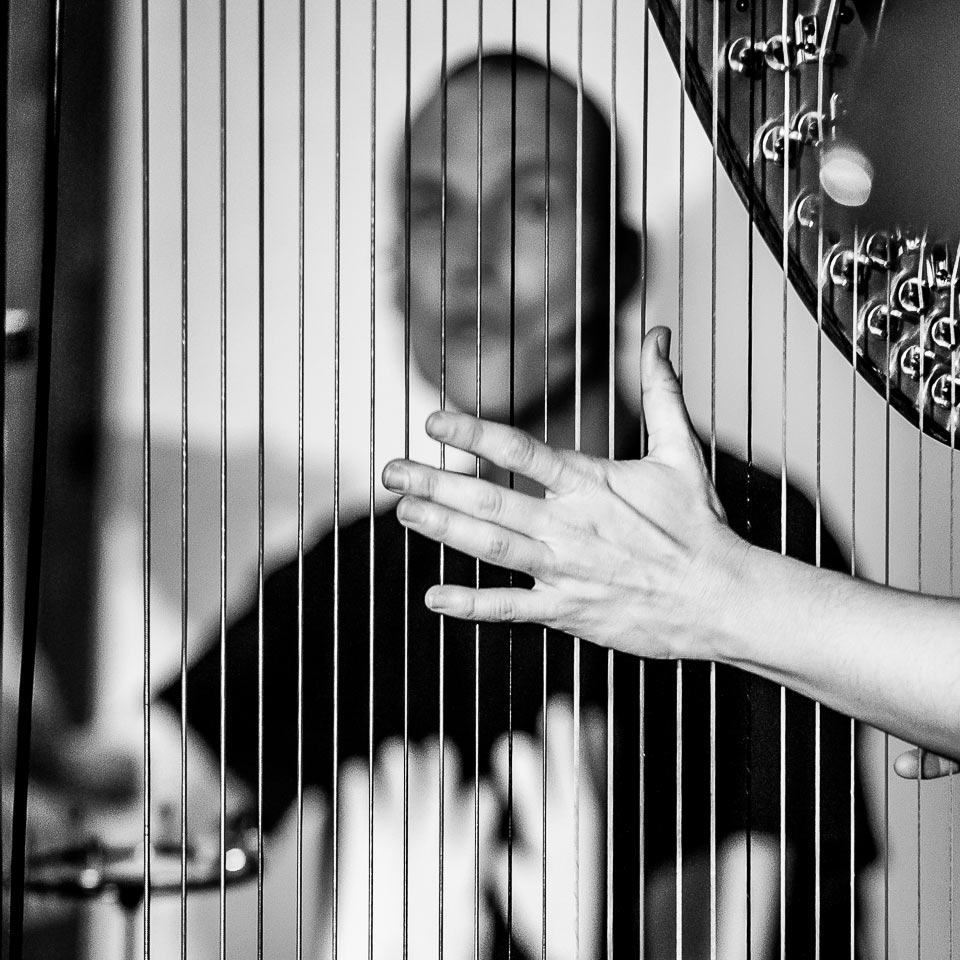 Nicht greifbar (Foto: Uli Pfeufer)