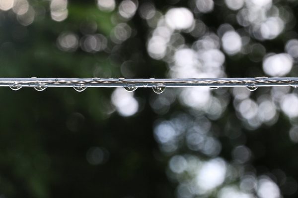 Tröpfchen für Tröpfchen... (Foto: Roland Kastner)