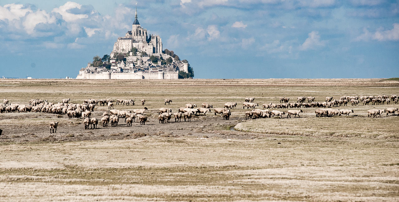 Wahrzeichen (Foto: Uli Pfeufer)