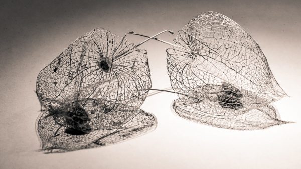 Winterstille (Foto: Uli Pfeufer)