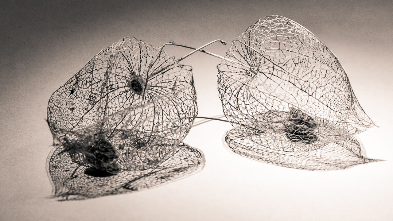 Winterstille (Foto: Uli Pfeufer)