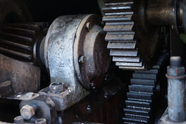 Zahn der Zeit (Foto: Sylvi Raakow)