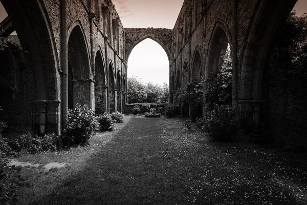 Serie: Klosterruine (Foto: Rainer Koch)