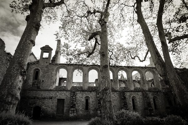 Serie: Klosterruine (Foto: Rainer Koch)