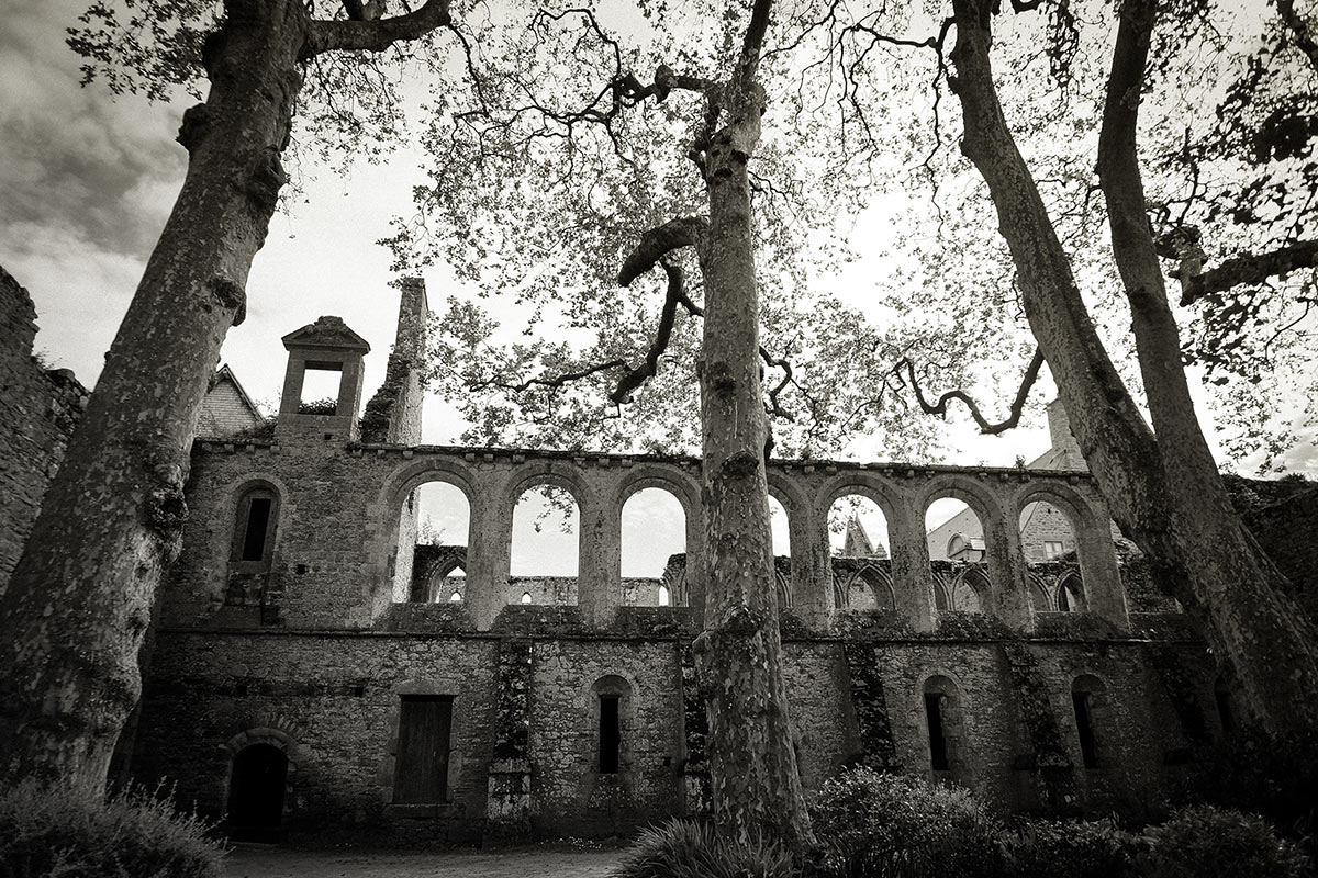 Serie: Klosterruine (Foto: Rainer Koch)