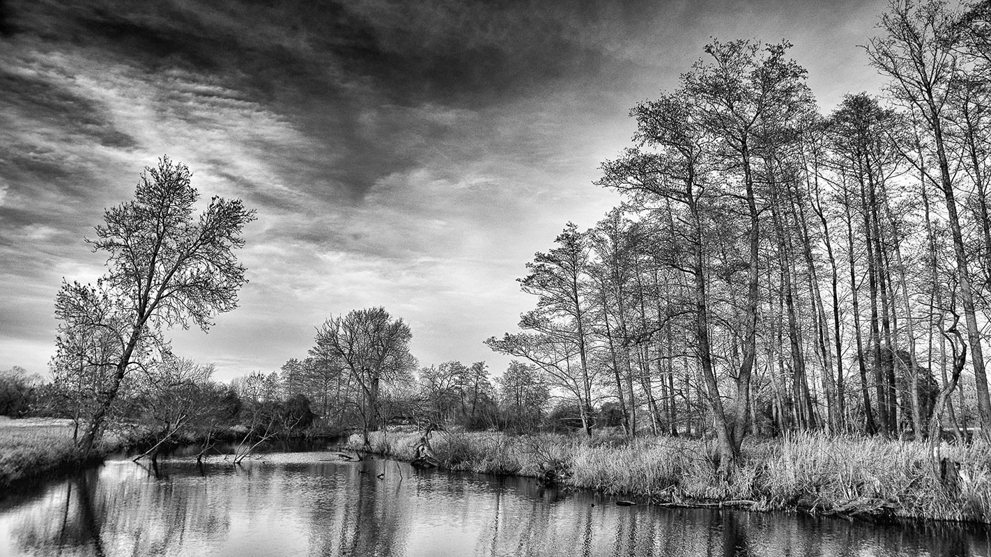 Mulde Altarm (Foto: Uli Pfeufer)