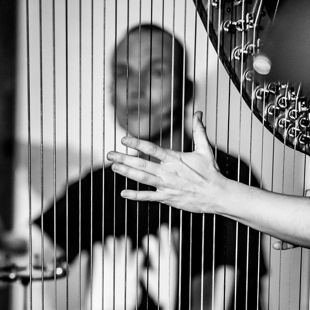 Nicht greifbar (Foto: Uli Pfeufer)