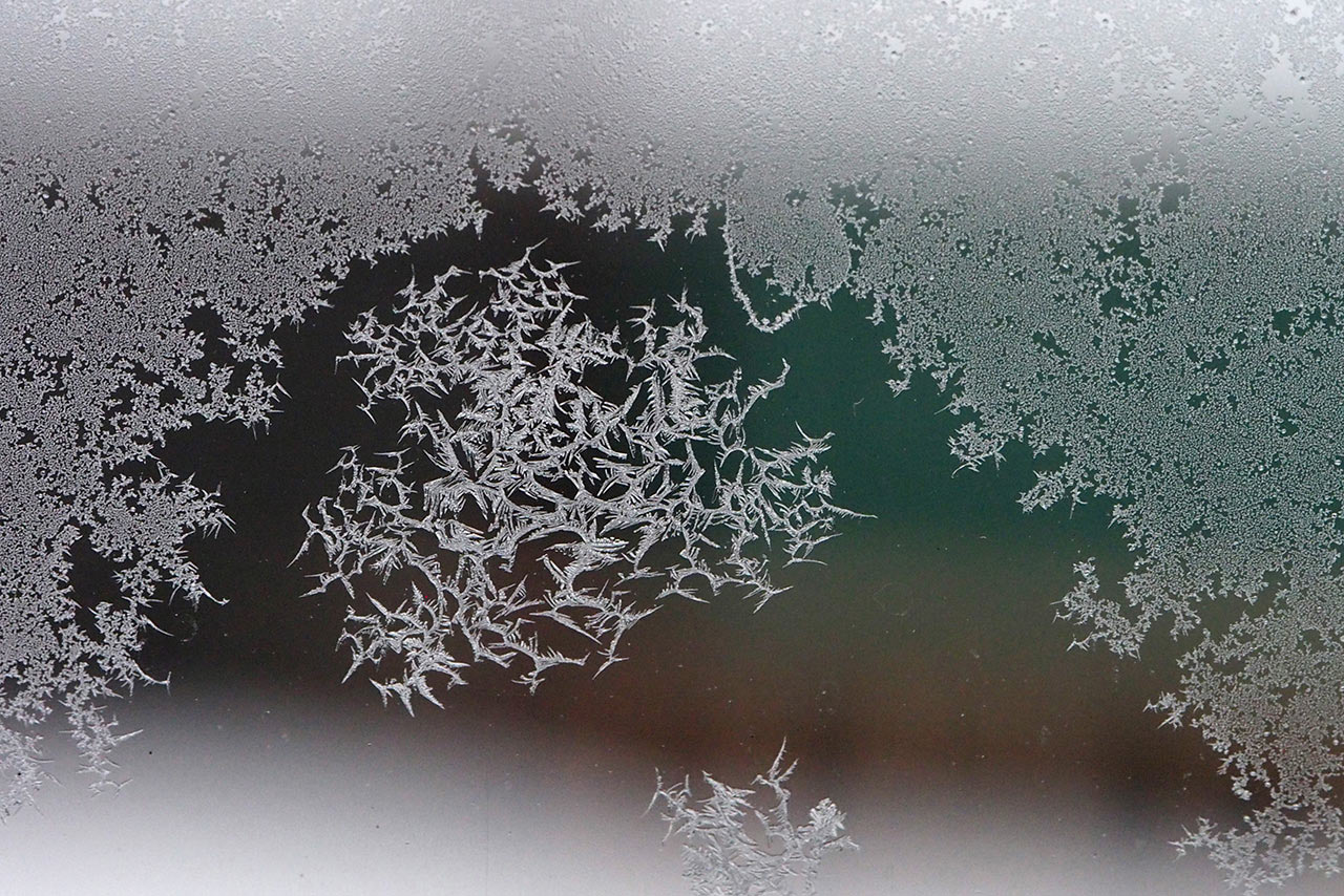 Eisblume (Foto: Manuela Hahnebach)