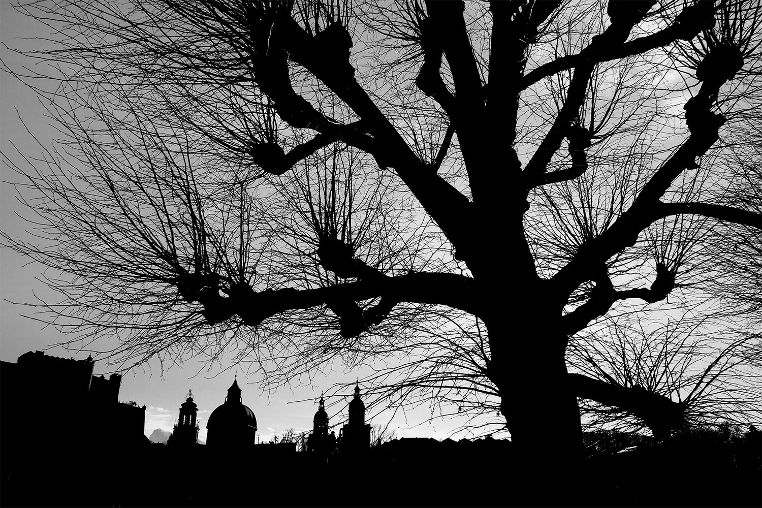 Fotoclub: Bild des Monats 10.2023