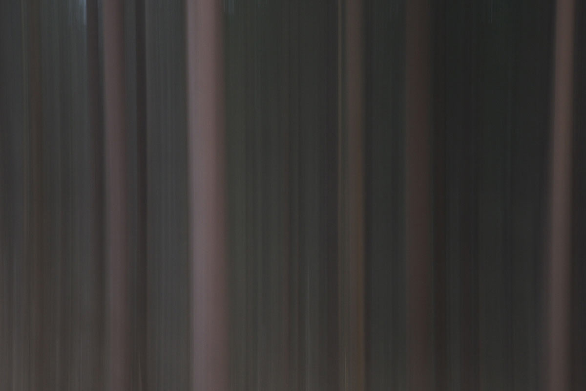 Serie: Wischwald (Foto: Andreas Kuhrt)