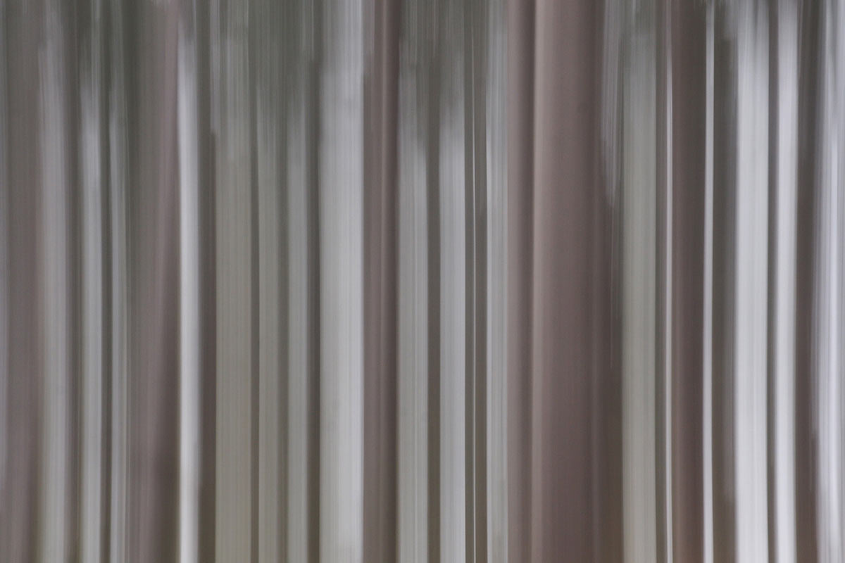 Serie: Wischwald (Foto: Andreas Kuhrt)