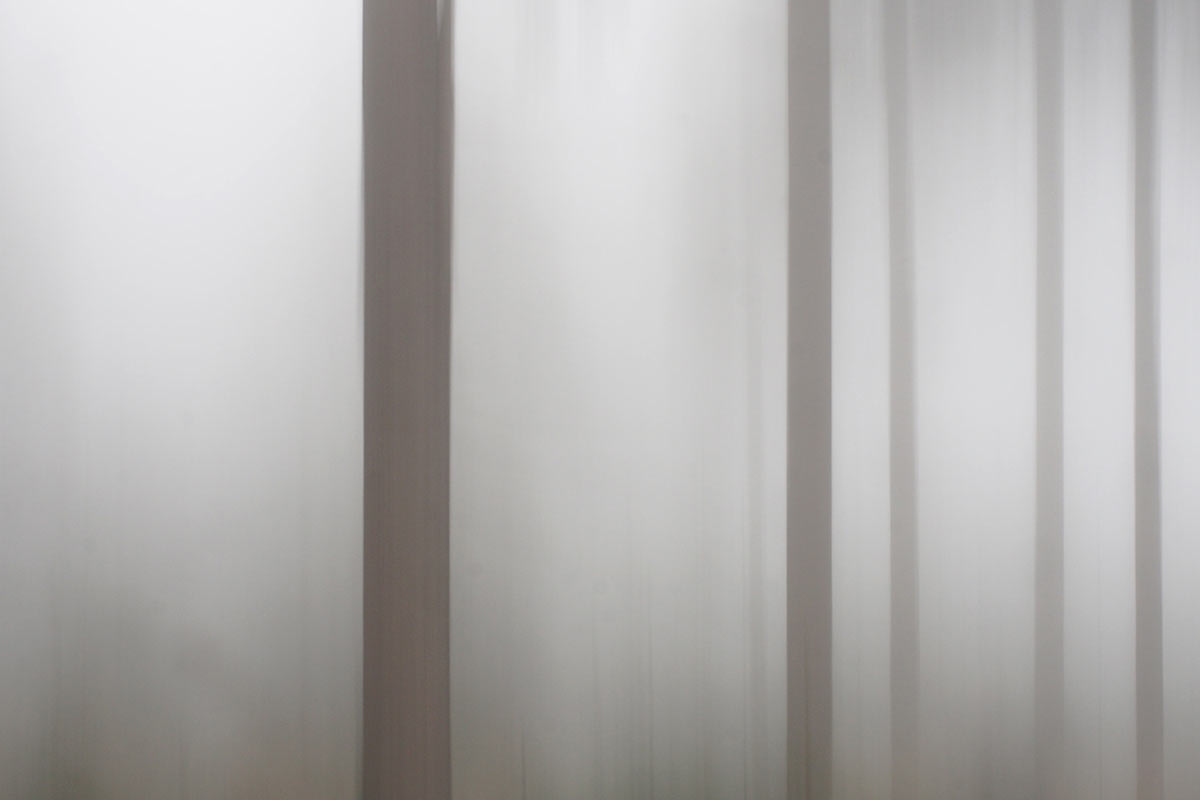 Serie: Wischwald (Foto: Andreas Kuhrt)