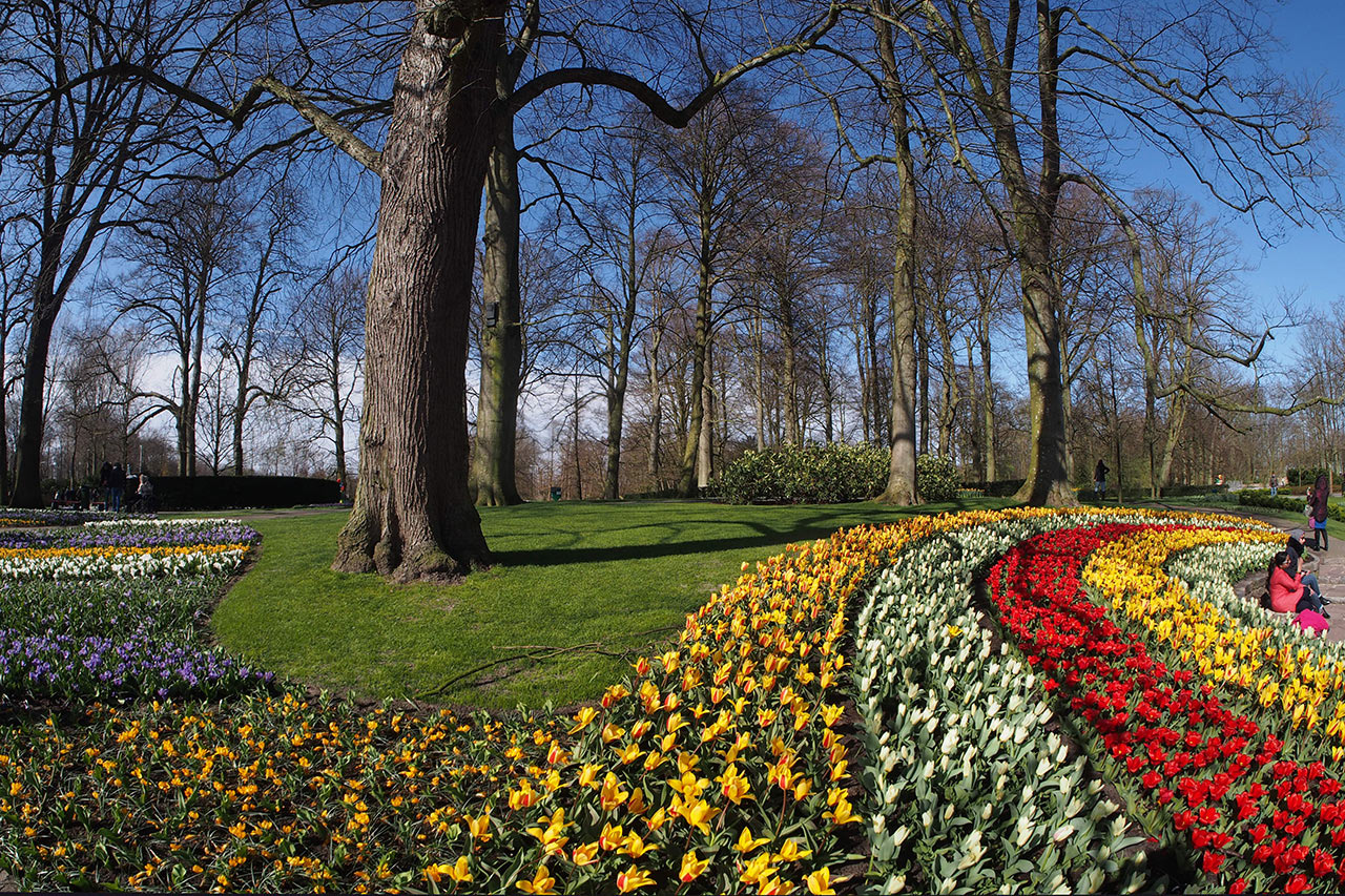 2016-04-14-keukenhof-mh-4 Keukenhof (Foto: Manuela Hahnebach)