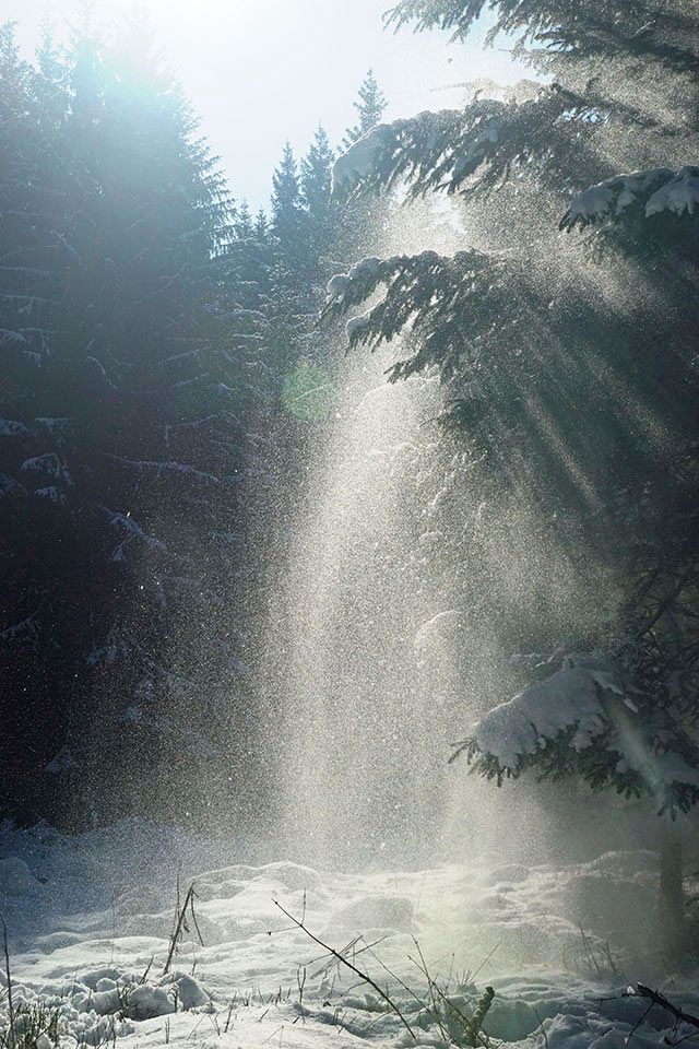 2016-04-36-Winterzauber-sr-5.66 Winterzauber (Foto: Sylvi Raakow)