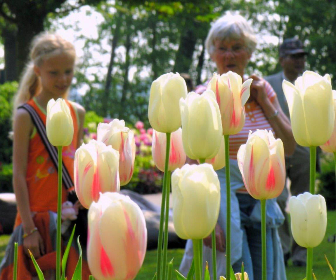 2016-04-zz01-6-DSCN9024-khr-4 Serie: Blumenschau (Foto: Karl-Heinz Richter)