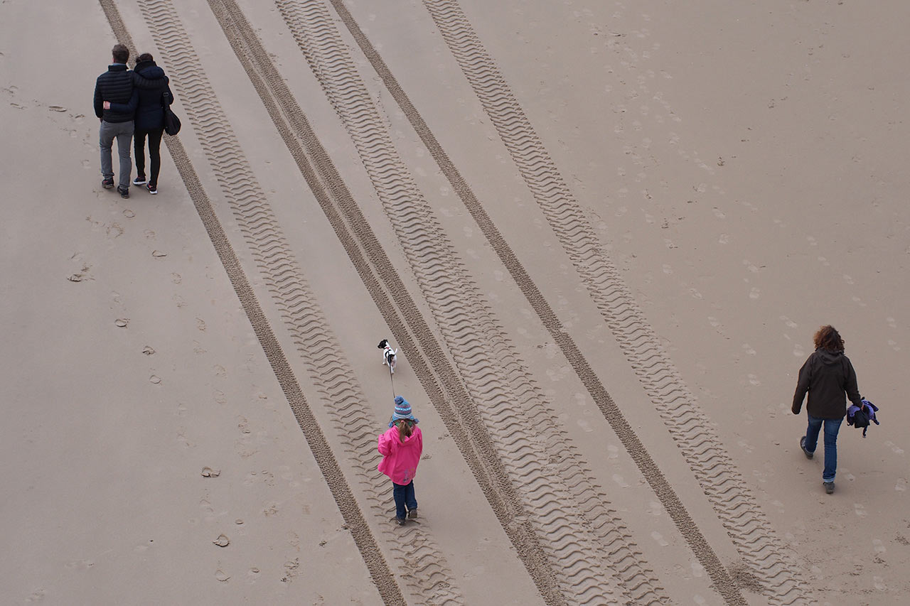 2016-04-zz03-strandlaeufer_01-mh-5.66-1 Serie: Strandläufer (Foto: Manuela Hahnebach)