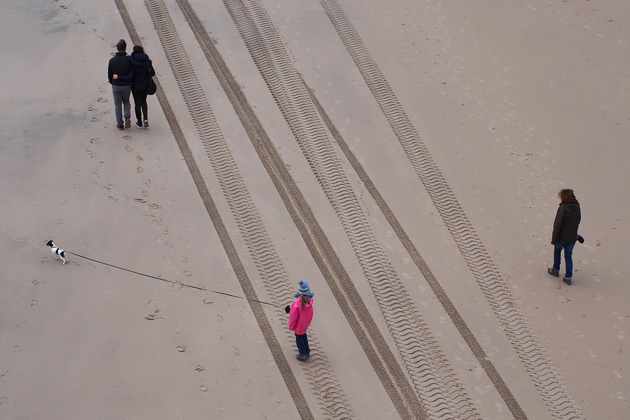 2016-04-zz03-strandlaeufer_03-mh-5.66-1 Serie: Strandläufer (Foto: Manuela Hahnebach)