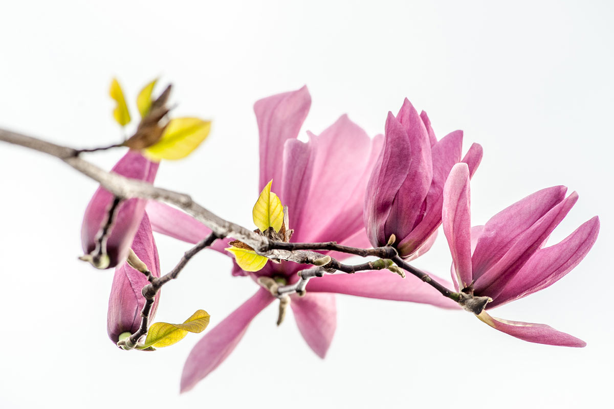 Fotoclub: Bild des Monats 10.2023