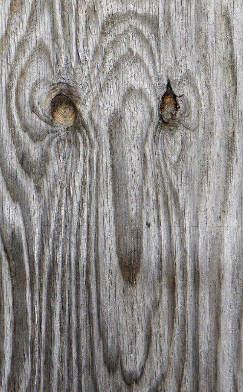 Maske (Foto: Karl-Heinz Richter)