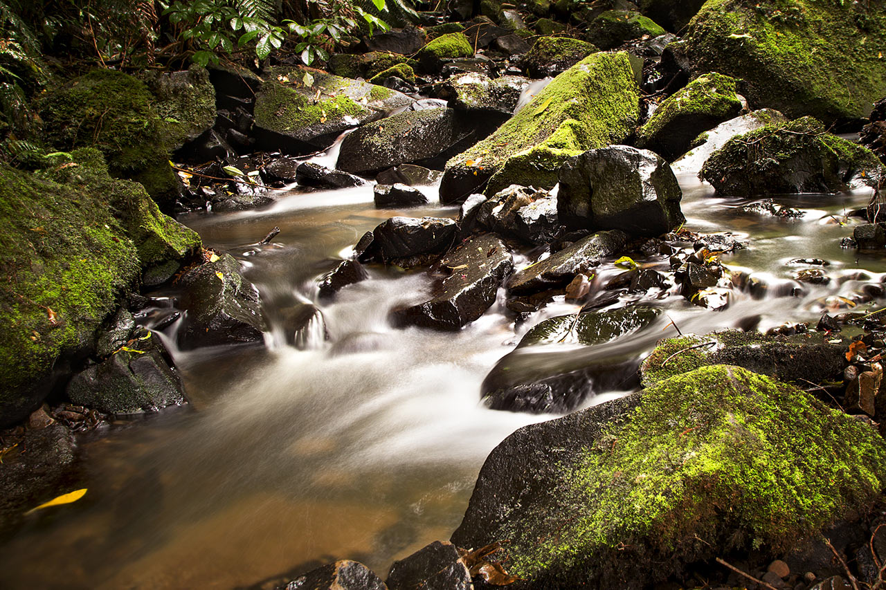 Matai Falls (Frank Hausdörfer)