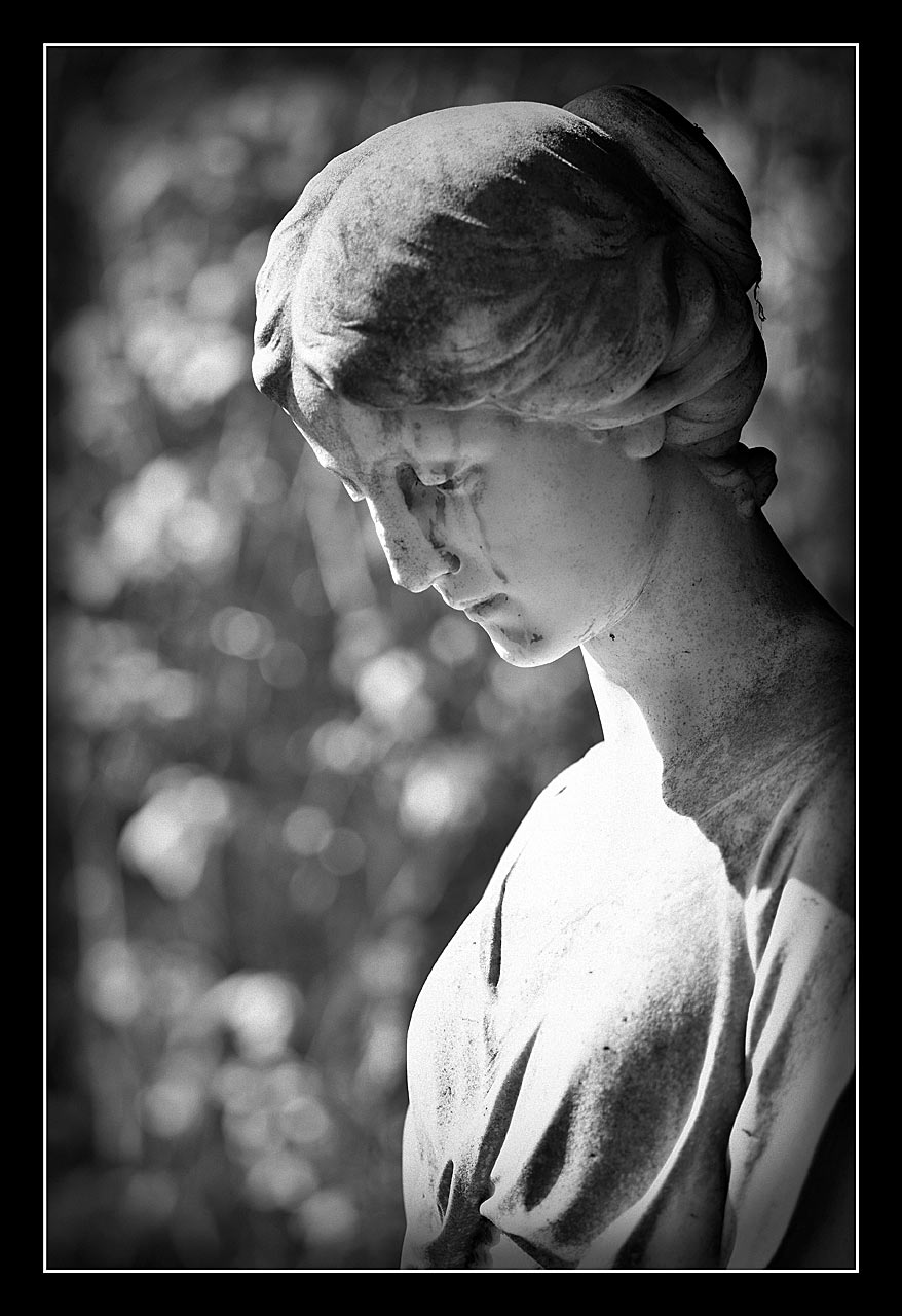 Porträt (Foto: Günter Giese)