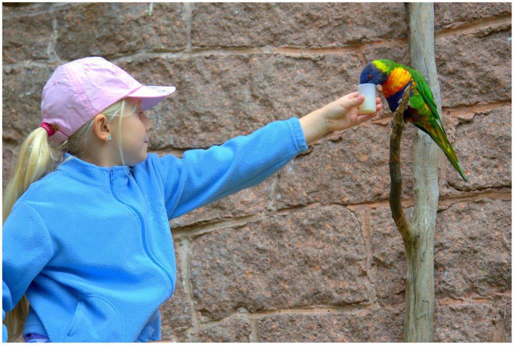 Serie: Tierpark Suhl (Foto: Karl-Heinz Richter