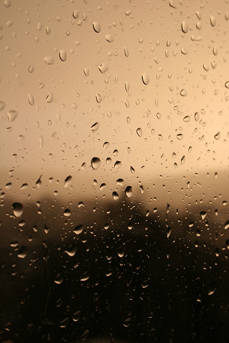 Serie: Regen & Sonne (Foto: Carolin Fritz)